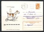 Postzegels : Rusland diverse LP brieven thema dieren 2, Timbres & Monnaies, Timbres | Europe | Russie, Enlèvement ou Envoi, Affranchi