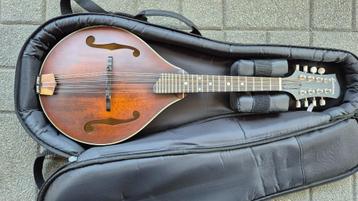Eastman MD305 Mandoline beschikbaar voor biedingen