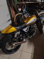 Mash track 125 dirt neuve, Motoren, Motoren | Mash, Particulier