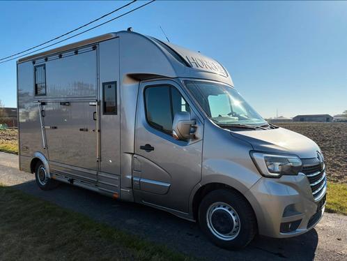 Renault Master paardencamionette, Dieren en Toebehoren, Paarden en Pony's | Trailers en Aanhangwagens, Zo goed als nieuw, 2-paards trailer