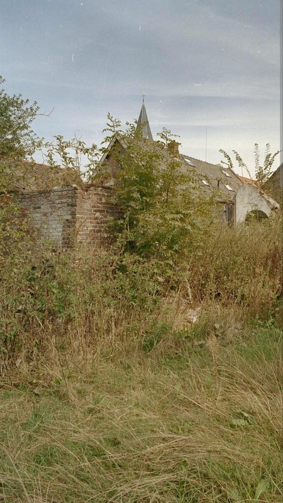 Tuinen opruimen!, Jardin & Terrasse, Plantes | Arbres, Enlèvement