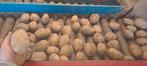 Aardappelen Bintjes, Zakelijke goederen, Landbouw | Aardappelen, Groenten, Fruit en Vlees, Ophalen