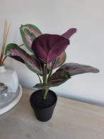 Kunststof calathea plant, Huis en Inrichting, Kamerplanten, Ophalen