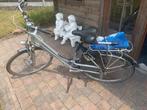 Damesfiets batavus, Ophalen, Versnellingen, Batavus, 53 tot 56 cm