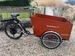 Vélo cargo électrique de Bakfiets nl, Vélos & Vélomoteurs, Vélos | Vélos avec bac, Autres marques, 4 enfants ou plus, Utilisé
