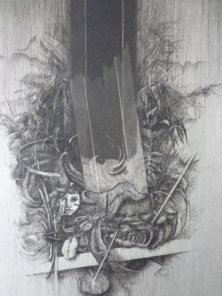 verfijnde ets Dominique Sosolic Improvisation Végétale, Antiek en Kunst, Kunst | Etsen en Gravures, Ophalen of Verzenden