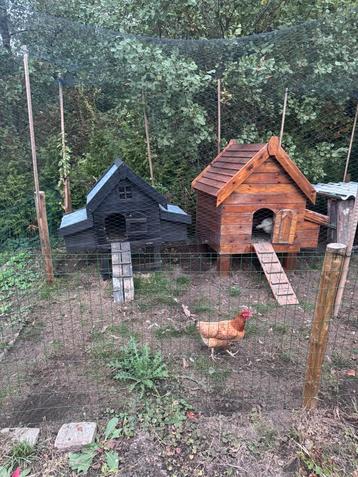 Kippenhokken beschikbaar voor biedingen