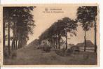 GROBBENDONK OUDE  KANAAL Stempel Geel 1955 nr den Haag 1786, Verzenden, 1940 tot 1960, Gelopen, Antwerpen