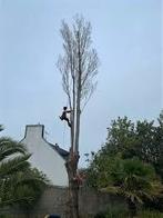 Élagueur elagage et abattage tout types d'arbres petit prix, Ophalen of Verzenden