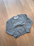 Burberry sweater grijs, Grijs, Ophalen of Verzenden, Zo goed als nieuw, Maat 36 (S)
