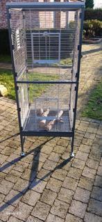 Grote kooi op wieltjes, Ophalen