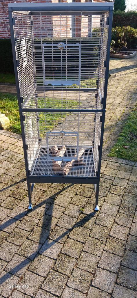 Grote kooi op wieltjes, Dieren en Toebehoren, Vogels | Hokken en Kooien, Ophalen
