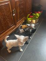 Chihuahua beeld, Tuin en Terras, Tuinbeelden, Ophalen, Nieuw, Overige materialen, Dierenbeeld
