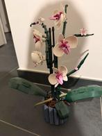 Lego Orchidee - 10311, Ophalen, Gebruikt, Complete set, Lego