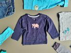 pull, trui, longsleeve met olifant Noppies 62cm, Kinderen en Baby's, Babykleding | Maat 62, Zo goed als nieuw, Ophalen