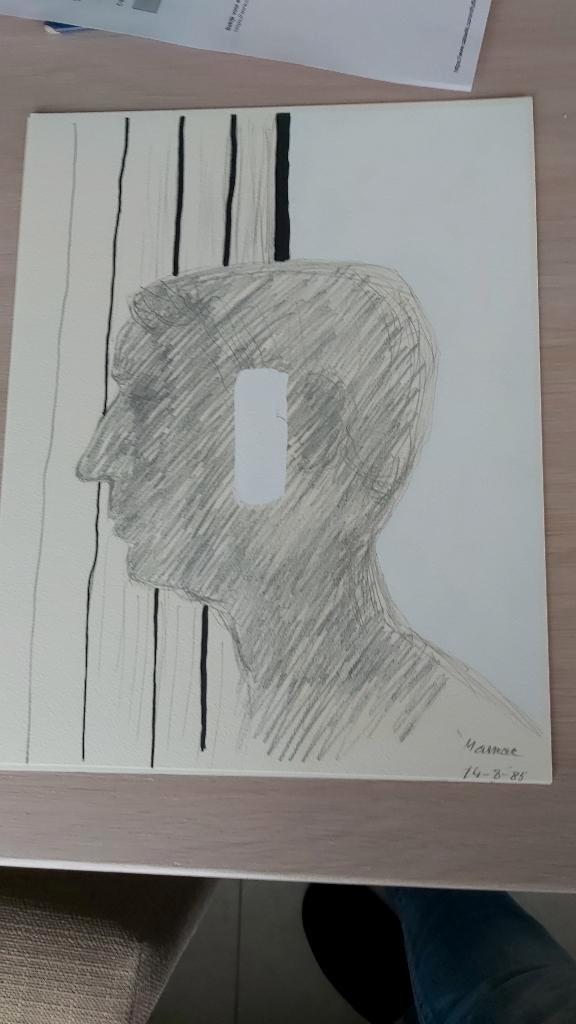 Roger Raveel, Antiek en Kunst, Kunst | Litho's en Zeefdrukken, Ophalen of Verzenden