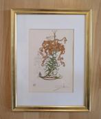 Lithografie van SALVADOR DALI: Tijgerlelies, Antiek en Kunst, Verzenden