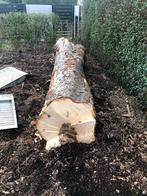 Boomstam kastanje, Doe-het-zelf en Bouw, Hout en Planken, Ophalen of Verzenden