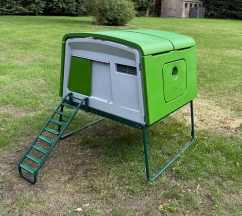 Omlet Eglu Cube 2022 model, Dieren en Toebehoren, Pluimvee | Toebehoren, Nieuw, Ophalen of Verzenden