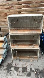 Kweekkooien, Dieren en Toebehoren, Vogels | Hokken en Kooien, Ophalen