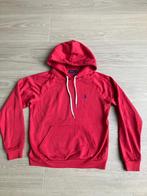 Prachtige hoodie Polo Ralph Lauren, maat small, Kleding | Dames, Polo Ralph Lauren, Ophalen of Verzenden, Zo goed als nieuw, Maat 36 (S)