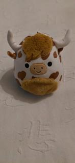 Squishmallow, Enlèvement