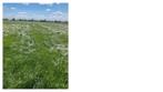 Gezocht grasland hooiland , gras op stam, Ophalen