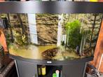 Aquarium compleet, Jardin & Terrasse, Étangs, Enlèvement, Comme neuf