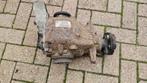 Cardan differentieel achterzijde schakel 3.07 BMW 1 / 3 seri, Auto-onderdelen, Gebruikt, -, Ophalen of Verzenden, -