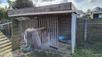 Hondenren incl. schuilhok en toebehoren, Ophalen, Hondenkennel, 100 cm of meer, 110 cm of meer