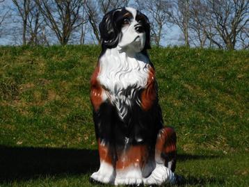 hond berner senne , tuinbeeld beschikbaar voor biedingen