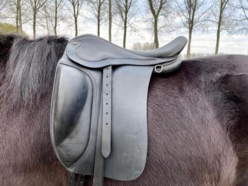 IJslander zadel Top Reiter SL beschikbaar voor biedingen