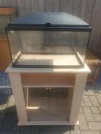 A vendre 2 aquariums/aquariums Ciano et Superfish ! !, Animaux & Accessoires, Poissons | Aquariums & Accessoires, Enlèvement, Comme neuf