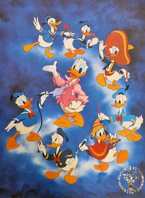 Lithografie Disney Donald Duck, Verzamelen, Disney, Gebruikt, Overige typen, Donald Duck, Ophalen of Verzenden