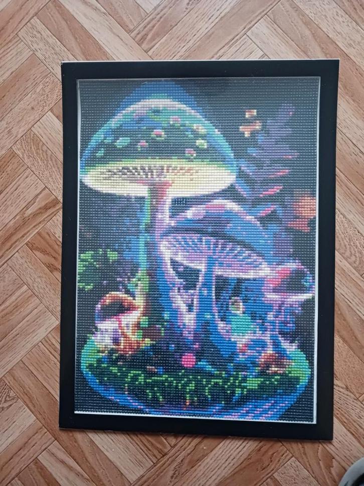 Afgewerkte diamond painting Paddestoelen zwarte kader, Hobby en Vrije tijd, Knutselen, Zo goed als nieuw, Ophalen