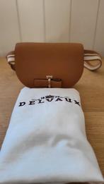 DELVAUX Crispy Calfskin Mini Le Mutin Belt Bag, Handtassen en Accessoires, Tassen | Damestassen, Ophalen of Verzenden