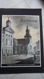 Affiche publicitaire pour la ville de Zottegem, Enlèvement, Comme neuf, Panneau publicitaire