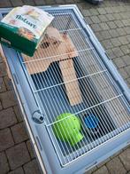 Cage à hamster Neo de Zolux, Enlèvement, Hamster