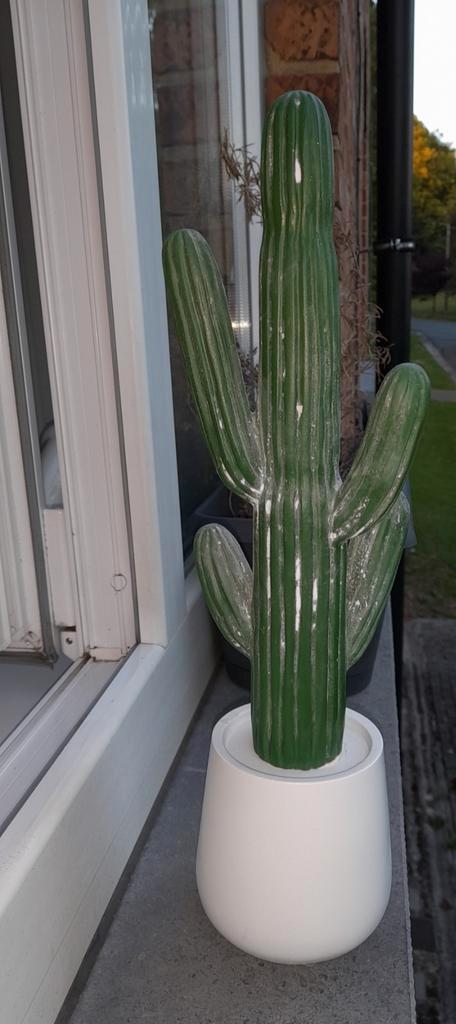 Cactus décoration d'intérieur 41cm new à saisir ️️️️️️️️️️↙️, Huis en Inrichting, Woonaccessoires | Kunstplanten en Kunstbloemen