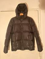 Veste Tommy Hilfiger, Vêtements | Hommes, Vestes | Hiver, Enlèvement, Comme neuf