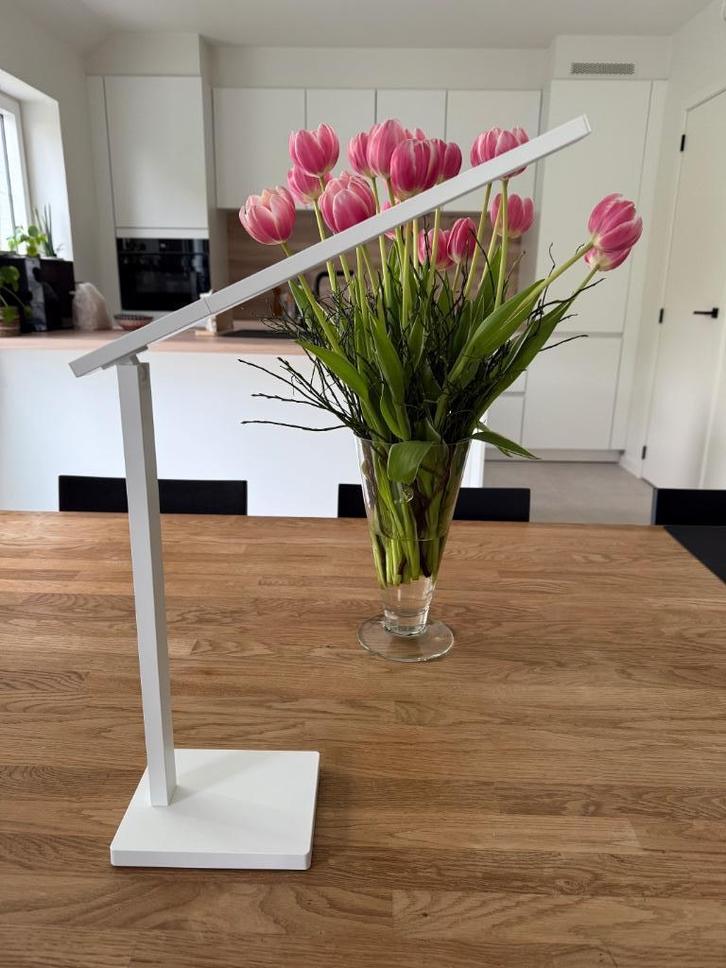 Tafellamp LED, Maison & Meubles, Lampes | Lampes de table, Comme neuf, Moins de 50 cm, Métal, Enlèvement