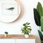 Kunstmatige kamercamelia | 29cm | GRATIS LEVERING, Binnen, PASCH, -, Verzenden