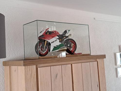 Glazen stolp voor Pocher 1:4 motorfiets NIEUW, Hobby en Vrije tijd, Modelbouw | Auto's en Voertuigen, Nieuw, Overige typen, Groter dan 1:32