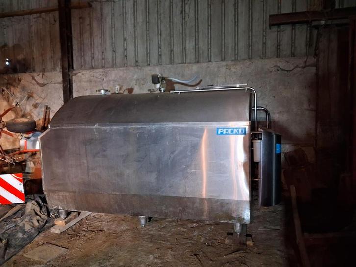 Koeltank, Animaux & Accessoires, Bovins, Sexe inconnu, 11 ans ou plus