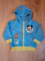 Hoodie Mickey Disneyland Paris 12 maanden / maat 74, Kinderen en Baby's, Disneyland Paris, Ophalen of Verzenden, Zo goed als nieuw