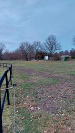 Weide met schuilstal en opslagruimte