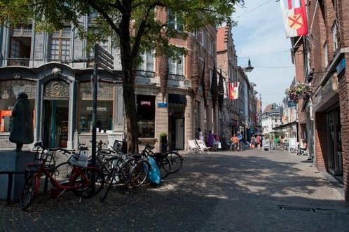 Huis te koop in Leuven, Immo, Huizen en Appartementen te koop, Vrijstaande woning, C