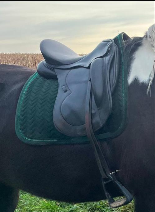 Kentucky dressuur dekje TE RUIL of TE KOOP, Dieren en Toebehoren, Paarden en Pony's | Dekens en Dekjes, Zo goed als nieuw, Dekje