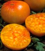 Ananastomaat (5 zaden), Tuin en Terras, Ophalen of Verzenden