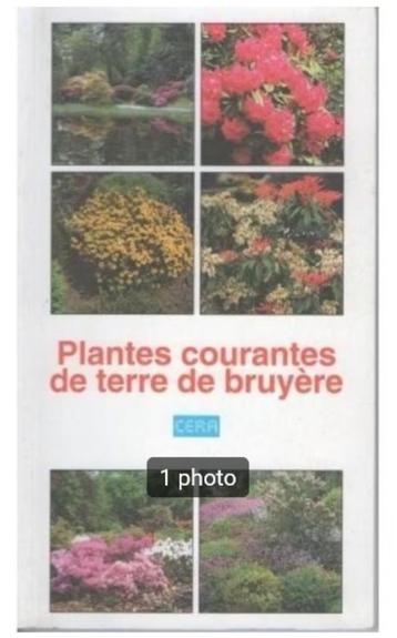 "Plantes courantes de terre de bruyère" (1993)